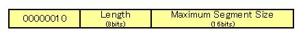 Maximum Segment Size